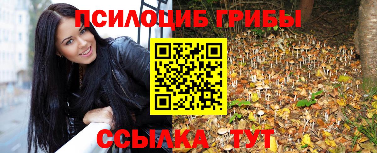 Псилоцибиновые грибы Psilocybe  Вход с VPN  Нефтекамск 