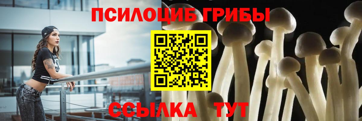 Галлюциногенные грибы Psilocybine cubensis Нефтекамск